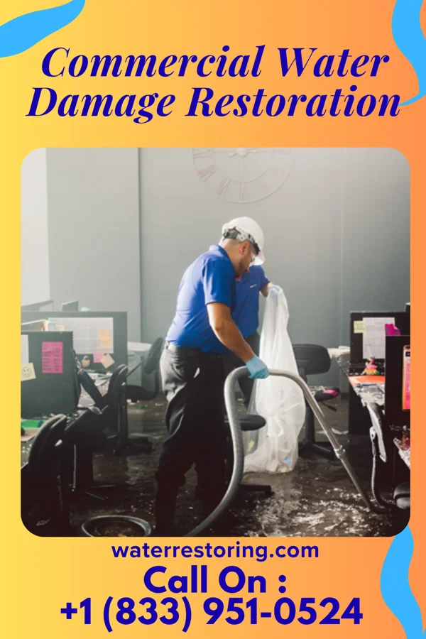 Commercial Water Damage Restoration in De Soto, KS