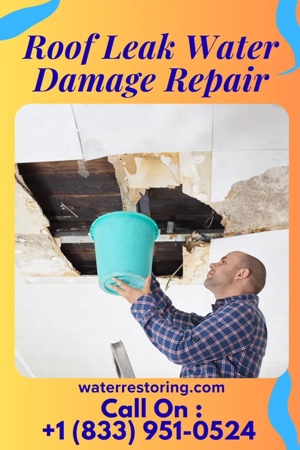 Roof Leak Water Damage Repair in De Soto, KS